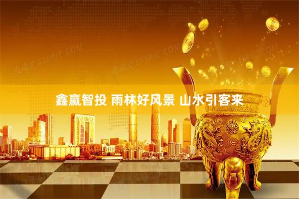 鑫赢智投 雨林好风景 山水引客来