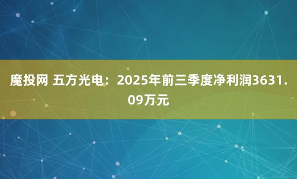魔投网 五方光电：2025年前三季度净利润3631.09万元