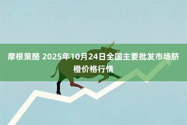 摩根策酪 2025年10月24日全国主要批发市场脐橙价格行情